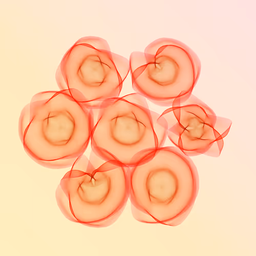 Flowers #359