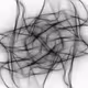 Synapses #329