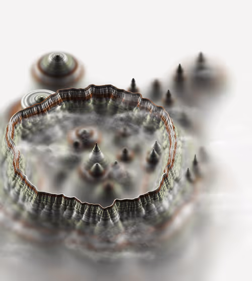 Item #291000064 Media