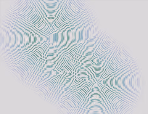 Item #335000062 Media