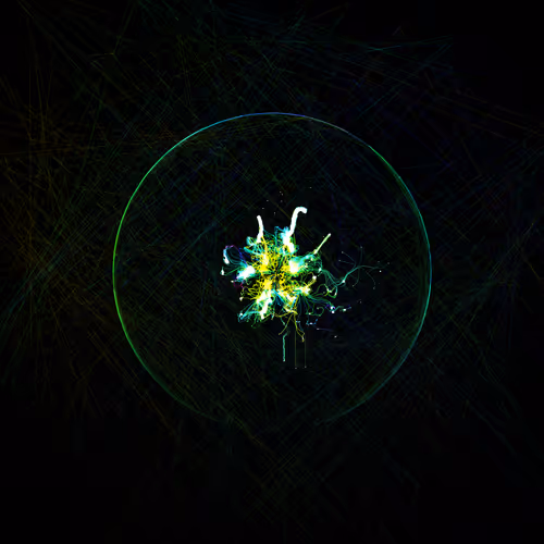 Item #178000425 Media