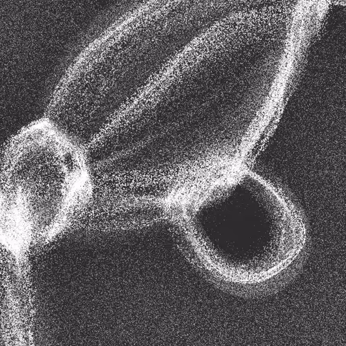 Item #320000001 Media