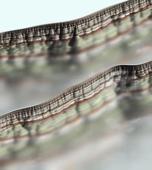 Item #291000242 Media