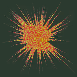 Star Flower #364