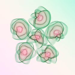 Flowers #1020