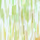 252000105