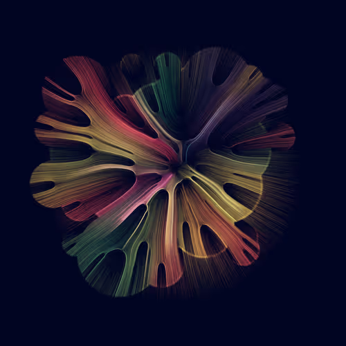 Gravity 16 #1002