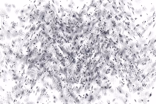 Item #229000287 Media