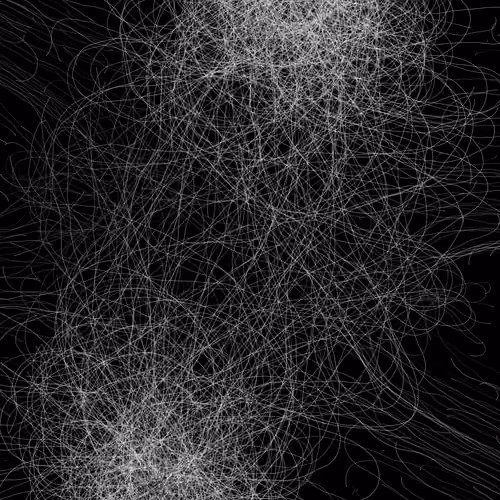 Phototaxis #367