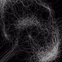 Phototaxis #605