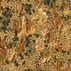 Fragments of an Infinite Field #719