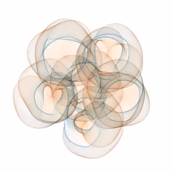 Flowers #4049