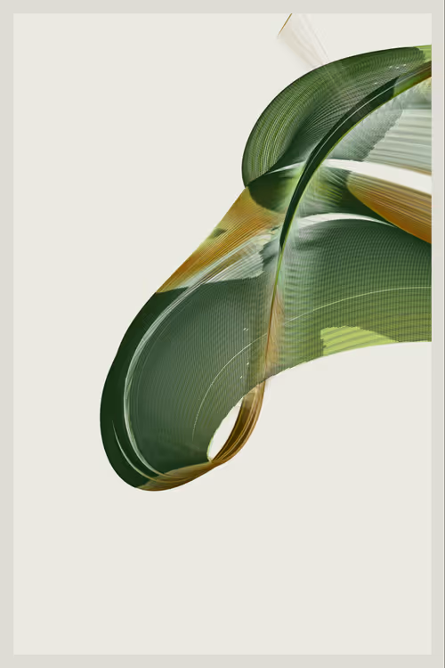 Item #361000372 Media