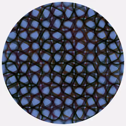 Ouroboros #243