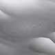124000389