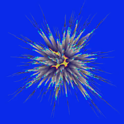 Star Flower #669