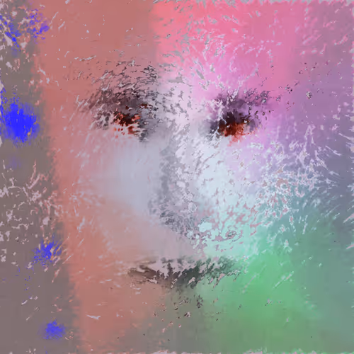 Item #323000129 Media