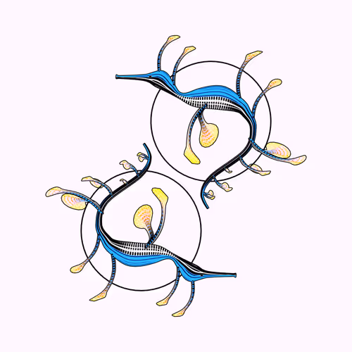 Item #160000009 Media