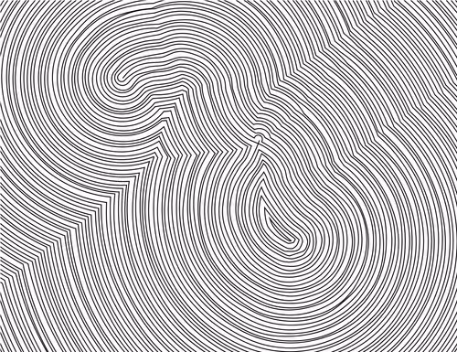 Item #335000222 Media