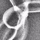 320000156