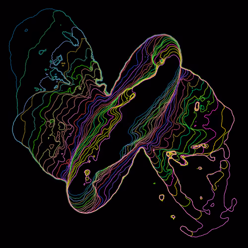 Primordial #324