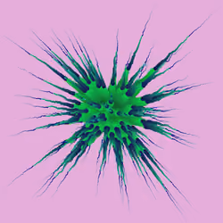Star Flower #761