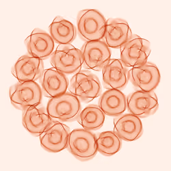 Flowers #302