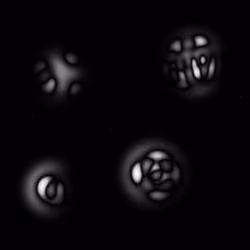 Quantum Collapses #312