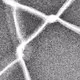 320000277
