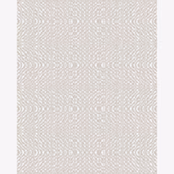 Warp #80