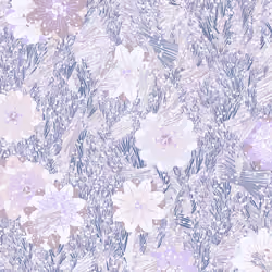 Fragments of an Infinite Field #1014