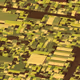 162000037