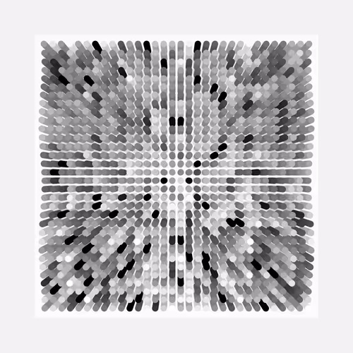 Transitions By Jason Ting X Matt Bilfield