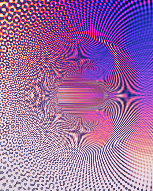 Item #313000159 Media