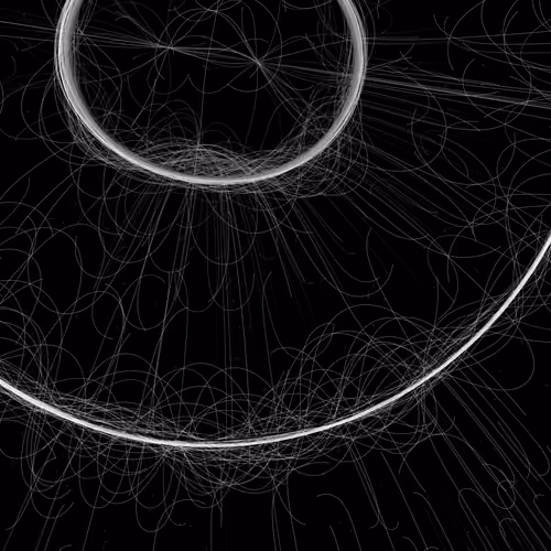 Phototaxis #537