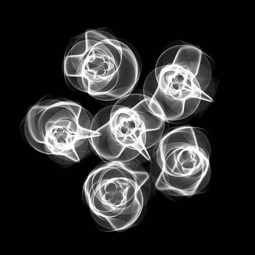 Flowers #5289