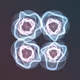 116005592
