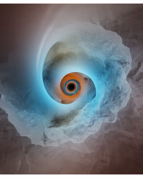 Item #217000503 Media