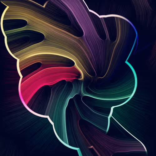 Item #165000335 Media