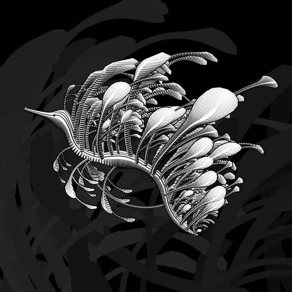 Seadragons #980