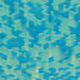 196000220