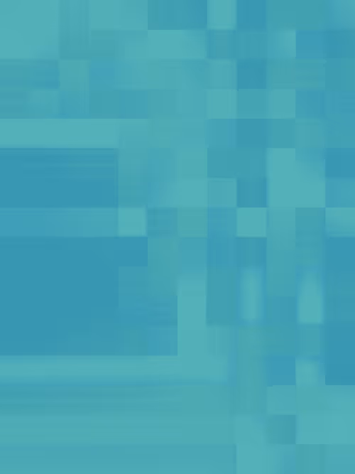 Item #332000170 Media