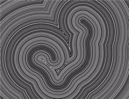 Item #335000125 Media