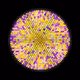 117000285