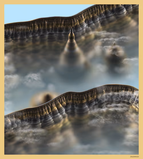 Item #291000033 Media