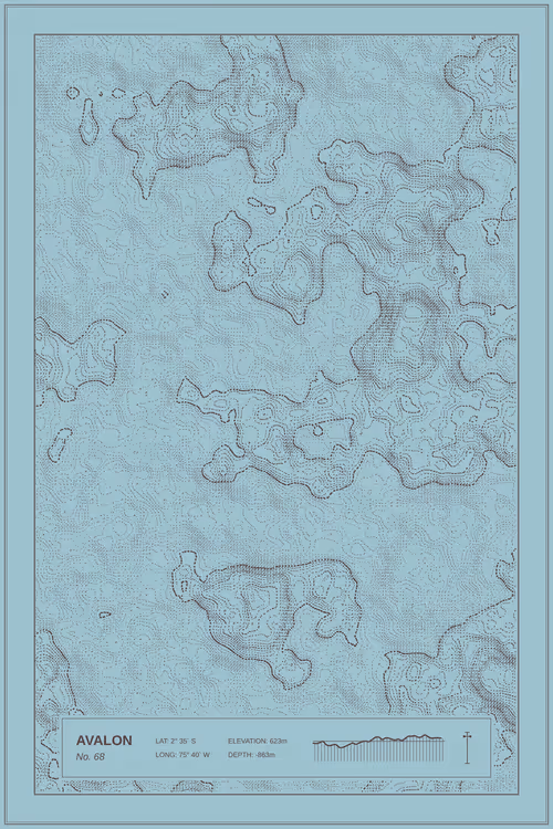 Item #347000068 Media