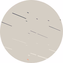 CENTURY #46