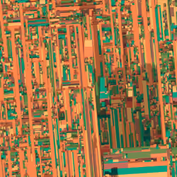 Democracity #604