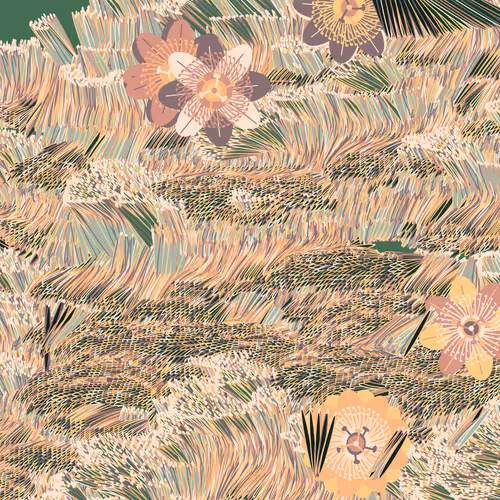 Fragments Of An Infinite Field By Monica Rizzolli