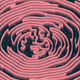 Tropism #202